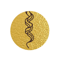 curly-power
